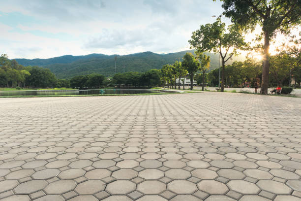 Best Affordable Driveway Pavers  in Piney Green, NC